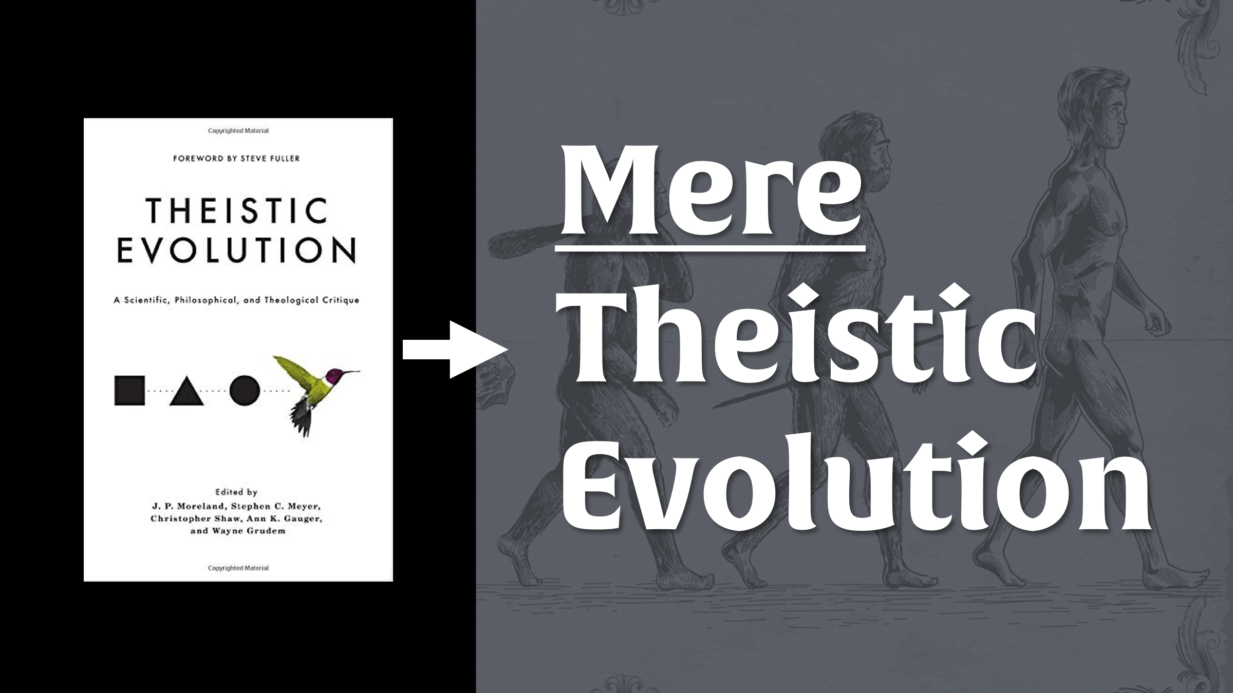 Mere Theistic Evolution